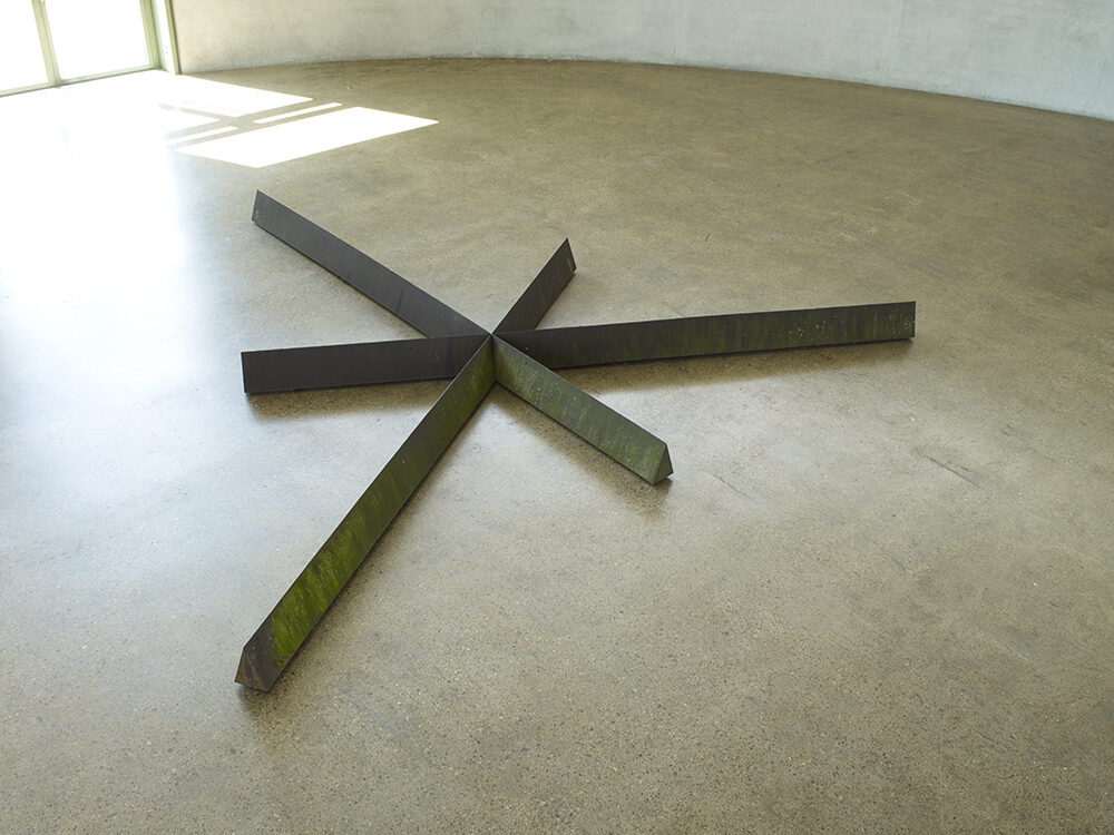 Bruce Nauman
